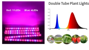 T5 रोशनी लाल ब्लू पूर्ण स्पेक्ट्रम बढ़ने का नेतृत्व किया संयंत्र से बढ़ दीपक के साथ इनडोर संयंत्र के लिए प्रकाश बार 4 Dimmable अंकुरों रसीला