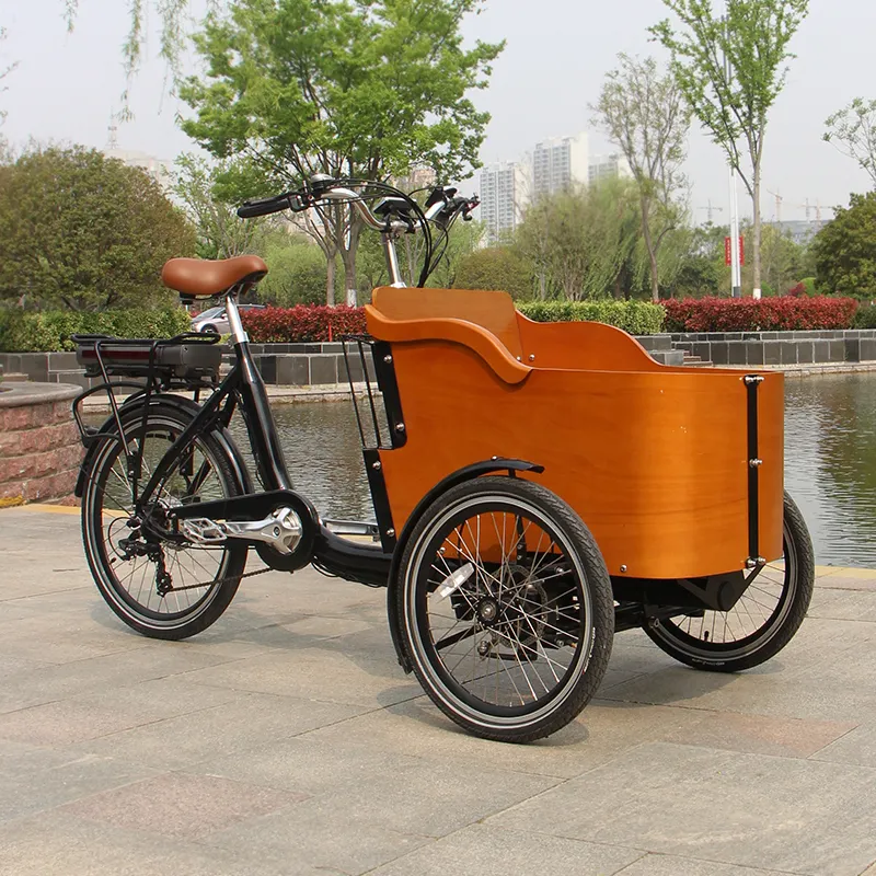 Triciclo de carga de tres ruedas para pasajeros, bicicleta eléctrica de carga holandesa con Pedal, con asiento, 3 ruedas