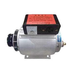 Générateur portable 220 V CC sans balais à aimant permanent, machine à souder double usage, forte puissance, sortie stable pour l'extérieur - Product Image 4