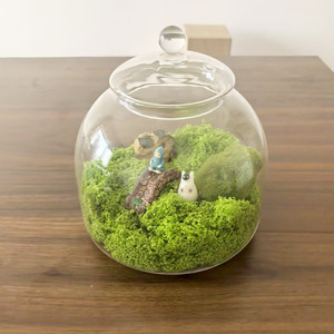Tự làm cảnh quan thủy tinh container với nắp cho Tabletop rêu hoa hiển thị nhà vườn trung tâm hồ cạn - Product Image 1