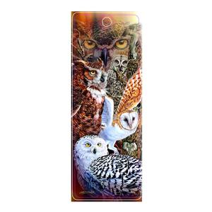 Segnalibro Animato 3D con Immagine di Uccelli Divertenti, Ecologico in Plastica, Stampa Offset, Cambio Immagine con Nappa, Prezzo di Fabbrica - Product Image 3