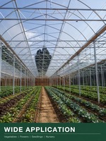 Panneau de serre en polycarbonate à double paroi, structure en acier pour la culture des plantes