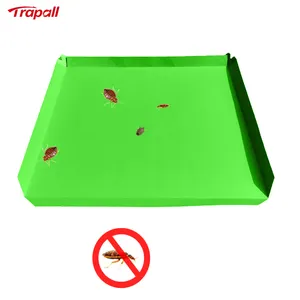 Indoor Disposable IBed Bug Control Plate cardboard Furniture Insect Prevent Tray