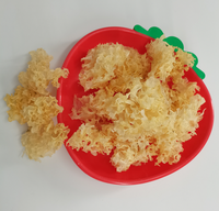Champignons comestibles de Chine en gros Tremella Fuciformis champignons argentés champignons blancs séchés pour la nourriture