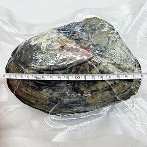 Hạt ngọc trai nước ngọt <span class=keywords><strong>Baroque</strong></span> 4mm bán buôn, tự nhiên, không đều, dùng làm vòng cổ/vòng tay, đồ thủ công tự làm - Product Image 4