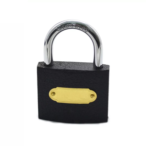 Diferente tamaño viejo diseño, precio barato, material de hierro candado - Product Image 1