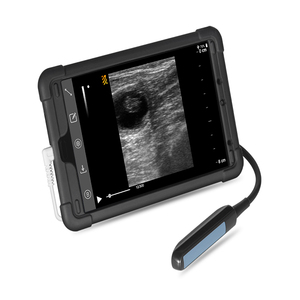 Scanner à ultrasons économique BMV MX5, haute sensibilité, de type C USB, pour bovin equine cow - Product Image 2