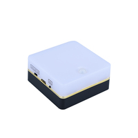 Mini veilleuse LED avec détecteur de mouvement, blanc chaud, luminosité réglable pour chambre à coucher, salle de bain, cuisine, couloir, escaliers
