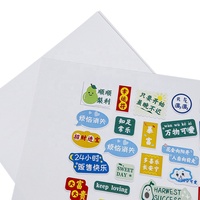 Autocollant adhésif laser, stock d'usine, imperméable, double face, imprimable, feuille PET format A4, papier autocollant pour imprimante laser