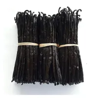 Fresh Dried Black Vanilla Beans for Sell