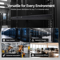 Unité PDU à montage en rack avec disposition de prises personnalisée, protection contre les surtensions, distribution d'alimentation multi-standards, prises optionnelles pour centre de données