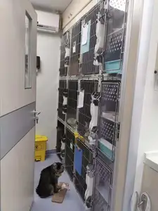 Lüks kedi kafesi kedi kınamak kafes 2 katmanlar yüksek dereceli kedi kafesleri için tekerlekler ile Pet Shop/hastane /veteriner kliniği
