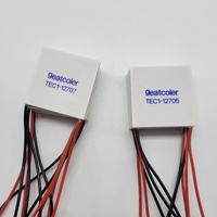 Refroidisseur thermoélectrique Peltier 40 MM 12v Semiconductor Refrigeration TEC Peltier Module