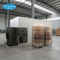 Fruitdroger met grote capaciteit, voedseldroger voor fruit en groenten