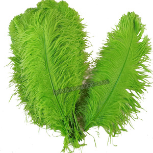 55cm 60cm Floral bricolage artisanat vert citron plume d'autruche Prime Femina pas cher plume d'autruche pour mariage - Product Image 2