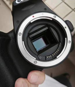 กล้องปืนใหญ่ระดับมืออาชีพ<span class=keywords><strong>200D</strong></span> <span class=keywords><strong>Mark</strong></span> <span class=keywords><strong>II</strong></span> พร้อม SL3กบฏ18-55มม. 24.1MP วิดีโอ4K ที่ใช้ - Product Image 6