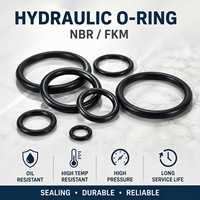 Joint torique en caoutchouc fluoré FKM, joint d'étanchéité pour pompe hydraulique, haute pression, haute température, résistant aux produits chimiques, taille personnalisée de précision, OEM