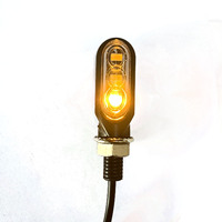 Kingshowstar Moto Clignotant LED Lumières Trois Modes Mini Feux de Plaque d'Immatriculation Feu Arrière Pour Remorque Camion Voiture (2pcs Ambre)