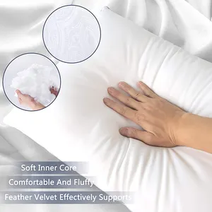 Hot Sale Standard Size Healthy Top-end Microfiber Cover Bed Hilton Pillow For Sleeping