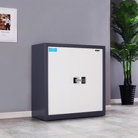 Caja Fuerte de Acero Anti-robo e Ignífuga con Cerradura Digital, Venta al Por Mayor |   Outlet de Fábrica, la Mejor Relación Calidad-Precio para la Seguridad del Hogar y la Oficina