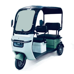 Prix d'usine, vente chaude, tricycle électrique E Trike à carrosserie ouverte, housse de <span class=keywords><strong>pluie</strong></span> disponible, utilisation double pour le transport de marchandises et de passagers, tricycle électrique/vélo à trois roues - Product Image 3