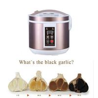 Machine à faire de l'ail noir pour usage domestique, best-seller, prix de gros pour la fermentation de l'ail noir