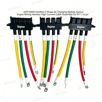 Module de charge triphasé certifié IATF16949, faisceau de câblage de sortie, assemblage de câbles à courant élevé pour chargeur de véhicule électrique