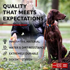 Collar para perros Waudog de nailon naranja, 1 pulgada de ancho, hebilla ajustable acolchada para perros grandes, medianos y pequeños, para todas las estaciones - Product Image 5