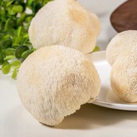 HACCP ISO gecertificeerde gedroogde leeuwenmanenzwam (Hericium Erinaceus) voor voedselverwerking, groothandel
