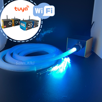 Smarte APP Tuya-Steuerung RGB LED Glasfaser-Lichtquelle Funkelnde Sternenlicht WLAN Magic Home Indoor Glasfaser-Sternenhimmel-Lichtquelle