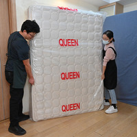 5Mil Queen Size Heavy Duty Imperméable Anti-Bug LDPE Matelas Housse Jetable Sac de Protection pour Oreiller et Stockage Mobile