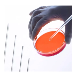 Varillas agitadoras químicas <span class=keywords><strong>de</strong></span> <span class=keywords><strong>vidrio</strong></span> redondas resistentes al calor para <span class=keywords><strong>laboratorio</strong></span> o <span class=keywords><strong>uso</strong></span> doméstico resistentes a la corrosión - Product Image 3