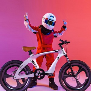 Bicicletta da montagna per bambini in lega di magnesio tedesca Little Explorer Legends 300 20 pollici telaio rigido ultraleggero doppio disco - Product Image 1
