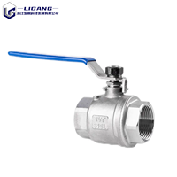 Válvulas de Bola de 2 Piezas de Acero Inoxidable 304 316 con Rosca NPT BSPT 1000 WOG para Tuberías de Petróleo y Químicos de Grado Industrial