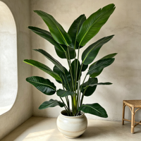 Bonsaï artificiel de bananier du voyageur de 160 cm, toucher naturel de haute qualité, pour la décoration intérieure de la maison et du bureau
