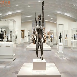 Vitrine de présentation de style muséal sur mesure - Conception de vitrine de musée de haute qualité et armoires de présentation pour les musées - Product Image 2
