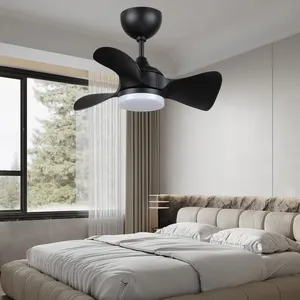 Proveedor chino, iluminación contemporánea, control remoto decorativo para interiores, aspas ABS, ventilador de techo de 30 pulgadas con luces LED
