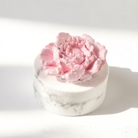 Diffuseur de parfum d'ambiance en céramique parfumée, fait main, en porcelaine, motif pivoine, pour la maison, avec huiles essentielles et bâtonnets diffuseurs