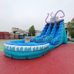 Castillo inflable comercial de doble carril para fiestas infantiles con tobogán acuático profundo y piscina - Product Image 2