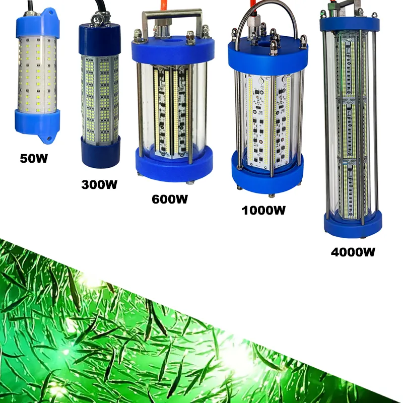 LED 50W 100W 300W 600W 1000W 2000W 4000W luce di pesca sommergibile pesci subacquea Finder lampadina