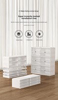2025 Offre Spéciale Récipients pliables en plastique pour armoire de rangement ANT BOX sans installation
