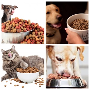 Machine automatique de fabrication d'aliments pour chiens et chats, entièrement automatique, <span class=keywords><strong>croquettes</strong></span>, acier inoxydable 304, moteur d'extrusion à double vis, PLC - Product Image 6