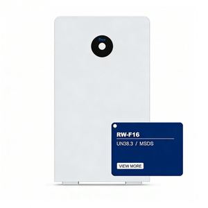 Deye ESS RW-F16 51.2V Lifepo4 Lithium Solar Deep Cycle Solar Power Storage Battery Competitive Price - Product Image 1