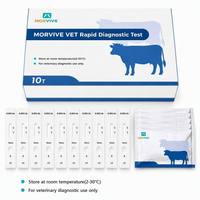 Kit de bandelettes de test vétérinaire pour la détection rapide des anticorps de Brucella bovine (B.BRU Ab) chez le bétail, 10 tests/boîte