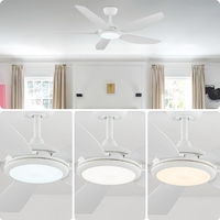 Ventilateur de plafond à moteur DC de 52 pouces, 5 pales en ABS, lumière LED, télécommande, économie d'énergie, ventilateur d'intérieur moderne