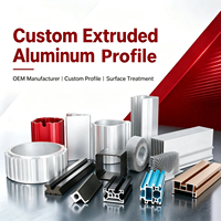 Traitement de coloration de surface pour profilés en aluminium, revêtement en poudre mat et brillant, profilé en alliage d'aluminium industriel personnalisé multicolore