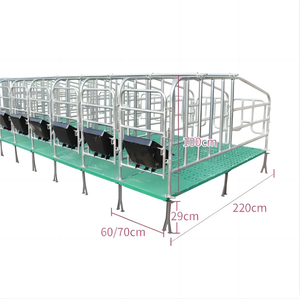 Профессиональный дизайн трубчатых свиноматок стойкие оцинкованные стальные свиноприборы для ферм - Product Image 2