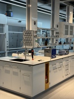 Banc de laboratoire personnalisé Tout acier Acier-bois PP en option Disposition personnalisée Grade d'exportation Fabrication directe sur mesure selon plan