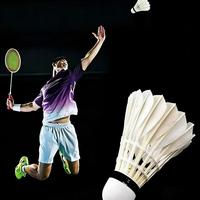 Raquette de badminton hybride écologique, durable, légère, professionnelle, de niveau tournoi, tête en liège sandwich 2 couches, plumes de canard de classe A droites