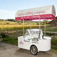 Chariot à glace italienne à température unique personnalisable, refroidissement par air, chariot à main pour sucettes glacées avec certification CE